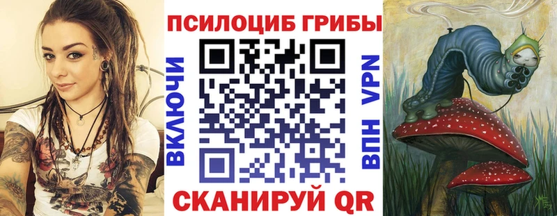 Псилоцибиновые грибы Psilocybe  закладки  Агрыз 